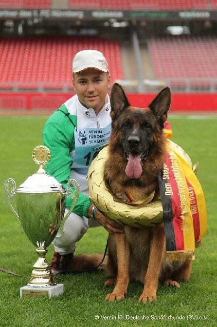 De L'Heritage D'Ina - Ballack Champion