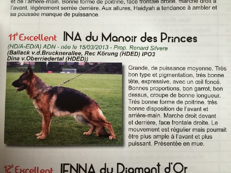 Ina du Manoir des Princes